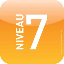 Plaque d´étage - Niveau 7 - Icone® Orange mandarin