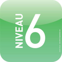 Plaque d´étage - Niveau 6 - Icone® 120 x 120 mm Ve