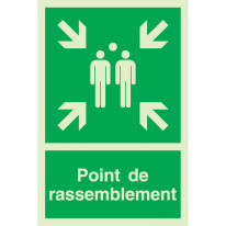 Panneau photoluminescent avec symbole + mention Po