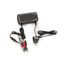 Chargeur de batterie - 12V - Panneaux Triflash