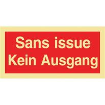 Panneau Sans Issue / Kein Ausgang Photoluminescent