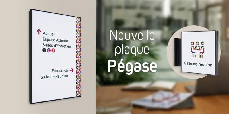 Nouveau !|Plaque Pégase avec système sécurisé